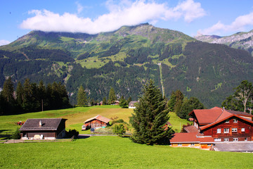 Obraz premium Swiss houses