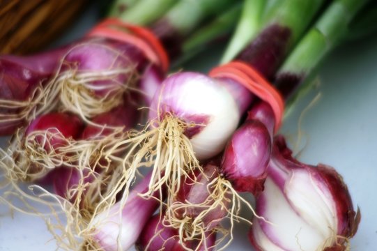 Bunch Purple Onions