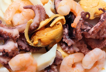 cocktail of seafood close-up