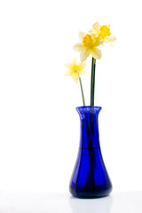 Blue vase with yellow narcissi