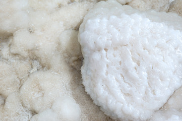 Stone covered with salt of  Dead Sea