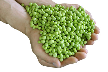 peas in hands