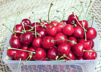 Barquette de cerises