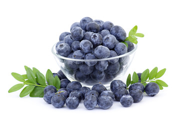 fresh blueberries in a bowl