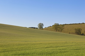 agricultural landscape 2