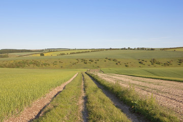 Fototapeta na wymiar arable landscape