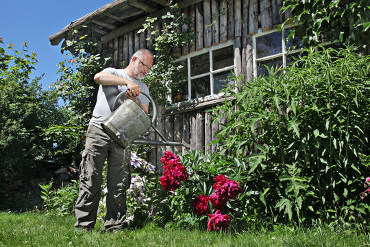 Mann Beim Giessen der Blumen