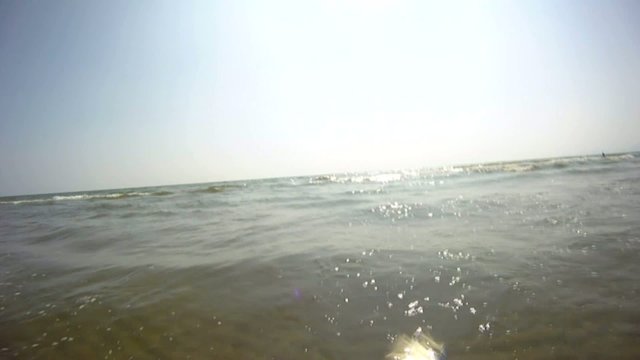 Splash