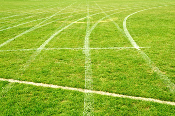 Grass race track
