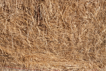 Straw texture background