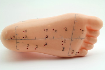 Akupunktur Model - Fuß von unten - Chinesische Medizin