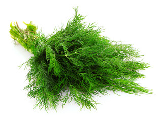 Dill isolated on white