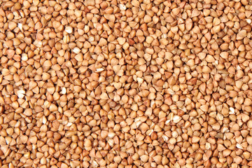 buckwheat;