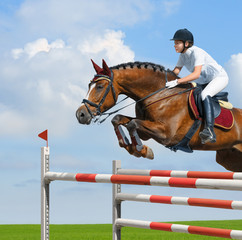 Equestrian jumper - horsewoman and bay mare