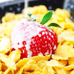 strawberry,milk and flakes in a bowl isolated on white