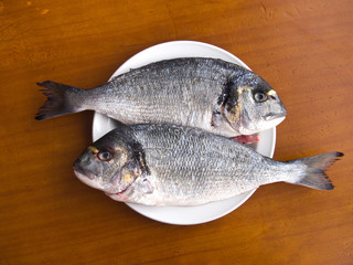 Two scaled gilt-head bream fishes on the white plate