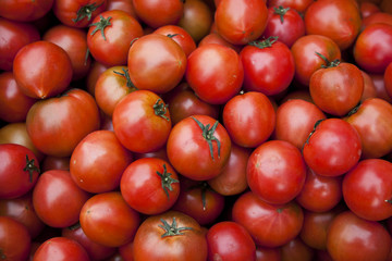 Tomatoes in the market