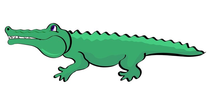 Cartoon illustration of crocodile. Vector