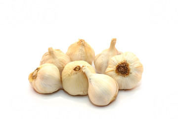 garlic on a white background