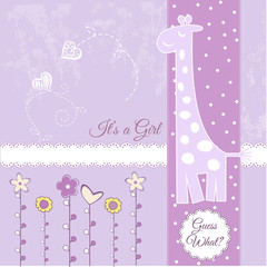 baby girl announcement