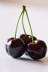 cerises noires
