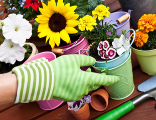 Gartenarbeit