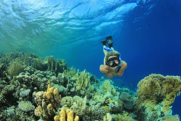 Rolgordijnen Mooie vrouw snorkelaar duikt naar beneden over een koraalrif © Richard Carey