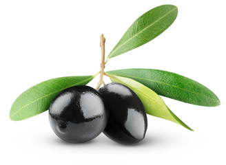 Isolated olives. Two black olives on branch with leaves isolated on white background