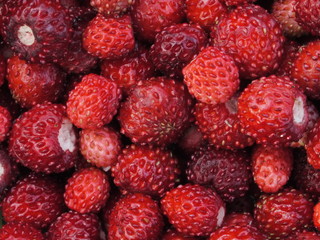 Nahaufnahme Gartenerdbeeren