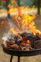 Burning pine cones. Preparing embers for grilling