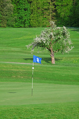 Obraz premium flag on golf course