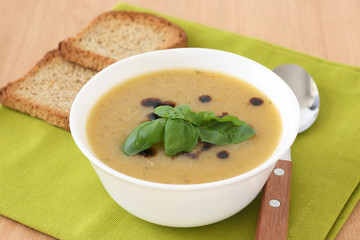 vegetable soup with toasts