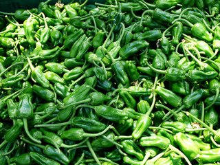 pimientos de padron