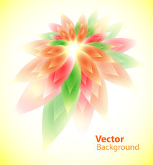 Floral abstract vector background
