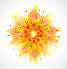 Floral abstract vector background