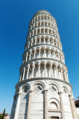 Fototapeta na wymiar Torre di Pisa -Piazza dei Miracoli