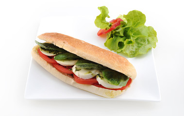 Tomato, cucumber & mint cheese Sandwich