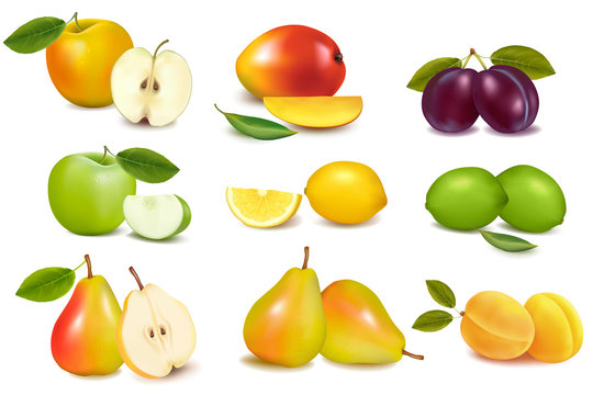 Group with different sorts of fruit. Vector.