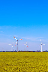 Wind energy wowers standing in the field in spring