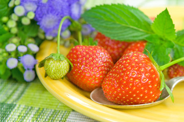 Erdbeeren