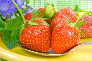 Erdbeeren