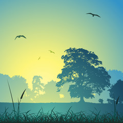 A Country Meadow Landscape with Trees and Birds