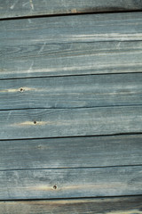 Fototapeta premium plank wall