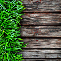 Fresh green grass on Wood background