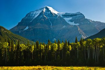 Early morning view of Mount Robson