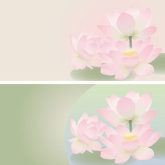 Fototapeta na wymiar Floral banners. Lotus.