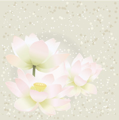 Floral postcard. Lotus.