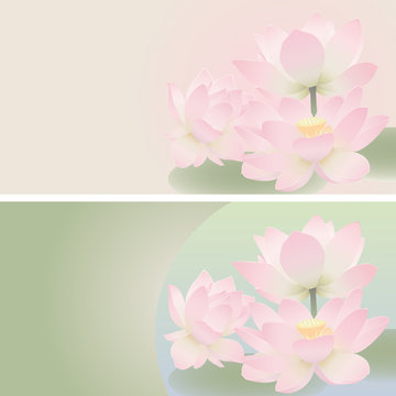 Floral banners. Lotus.