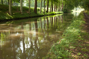 Obraz premium tunnel végétal sur le canal du midi - Toulouse