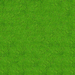 green grass field background